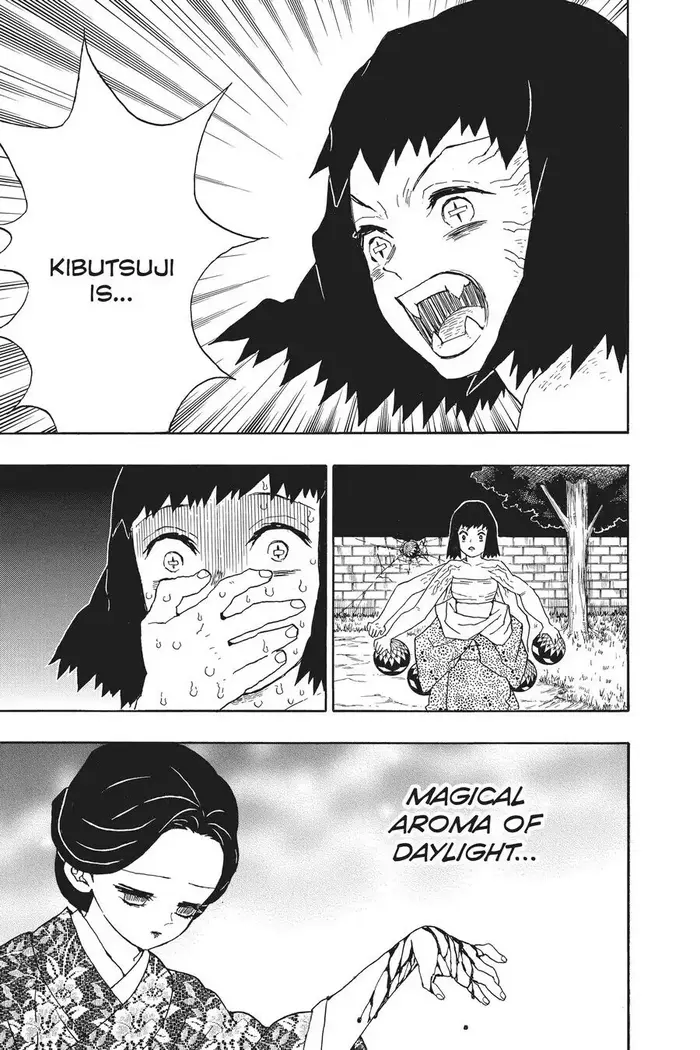 Demon Slayer Chapter 18 image 17_optimized